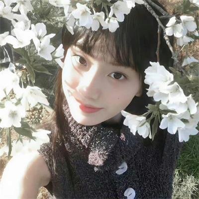最后的气宗